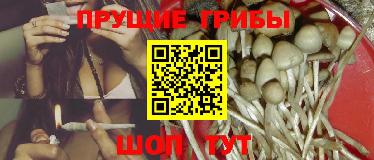 Псилоцибиновые грибы мухоморы Городец